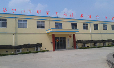 軟件科技領(lǐng)域內(nèi)的技術(shù)開發(fā) 創(chuàng)新驅(qū)動(dòng)，賦能未來